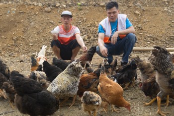 wviv ho tro nguoi khuyet tat tu tao sinh ke ben vung