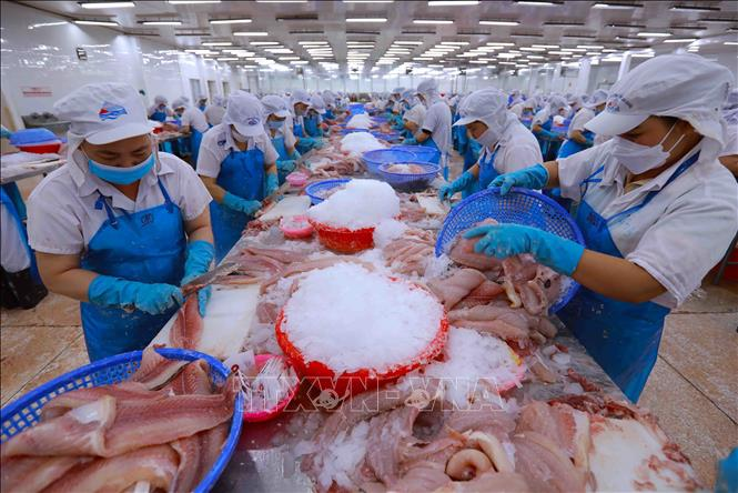 Tăng tốc đưa xuất khẩu nông - lâm - thủy sản đạt 65 tỷ USD
