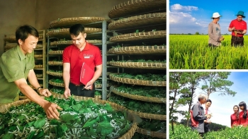 Gỡ 'nút thắt' để hợp tác xã bứt phá