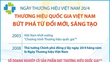 infographics thuong hieu quoc gia viet nam but pha tu doi moi sang tao