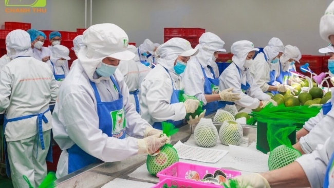 Nông sản Việt tăng tốc xuất khẩu trong thời gian Mỹ tạm hoãn thuế