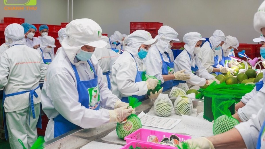 Nông sản Việt tăng tốc xuất khẩu trong thời gian Mỹ tạm hoãn thuế