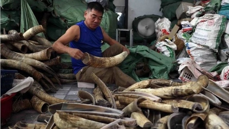 Hà Nội: Thành lập cụm công nghiệp làng nghề vốn đầu tư trên 500 tỷ đồng