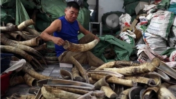 ha noi thanh lap cum cong nghiep lang nghe von dau tu tren 500 ty dong