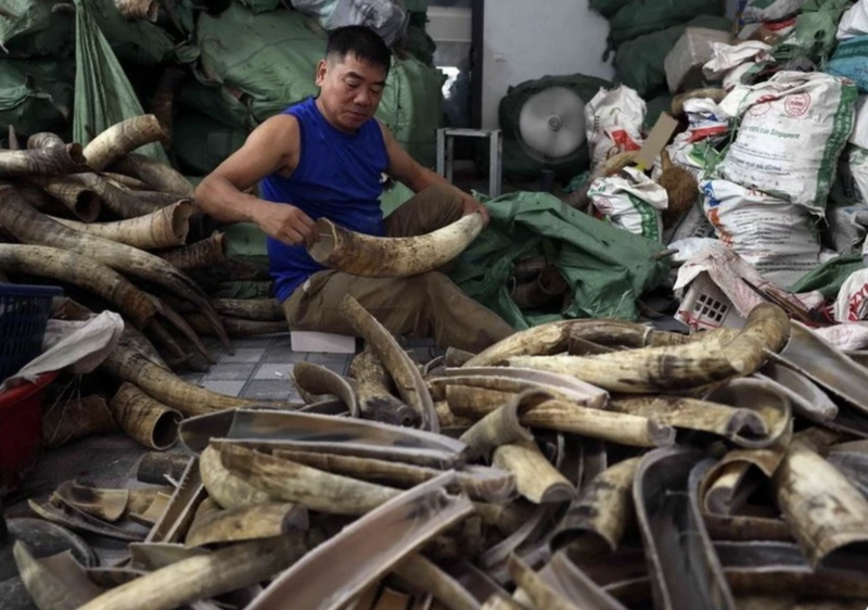 Hà Nội: Thành lập cụm công nghiệp làng nghề vốn đầu tư trên 500 tỷ đồng