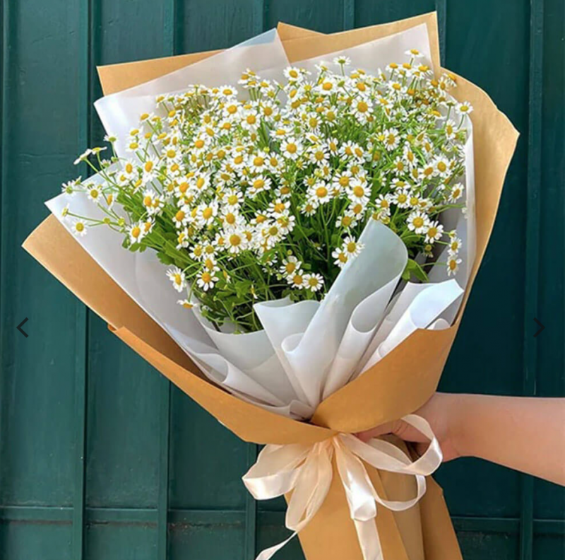 Những điều cần lưu ý khi đi du lịch Pháp