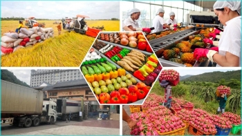 thi truong noi dia phao cuu sinh cho doanh nghiep viet trong bien dong thuong mai toan cau