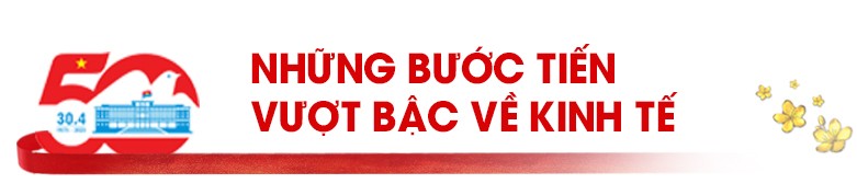50 năm đất nước nở hoa