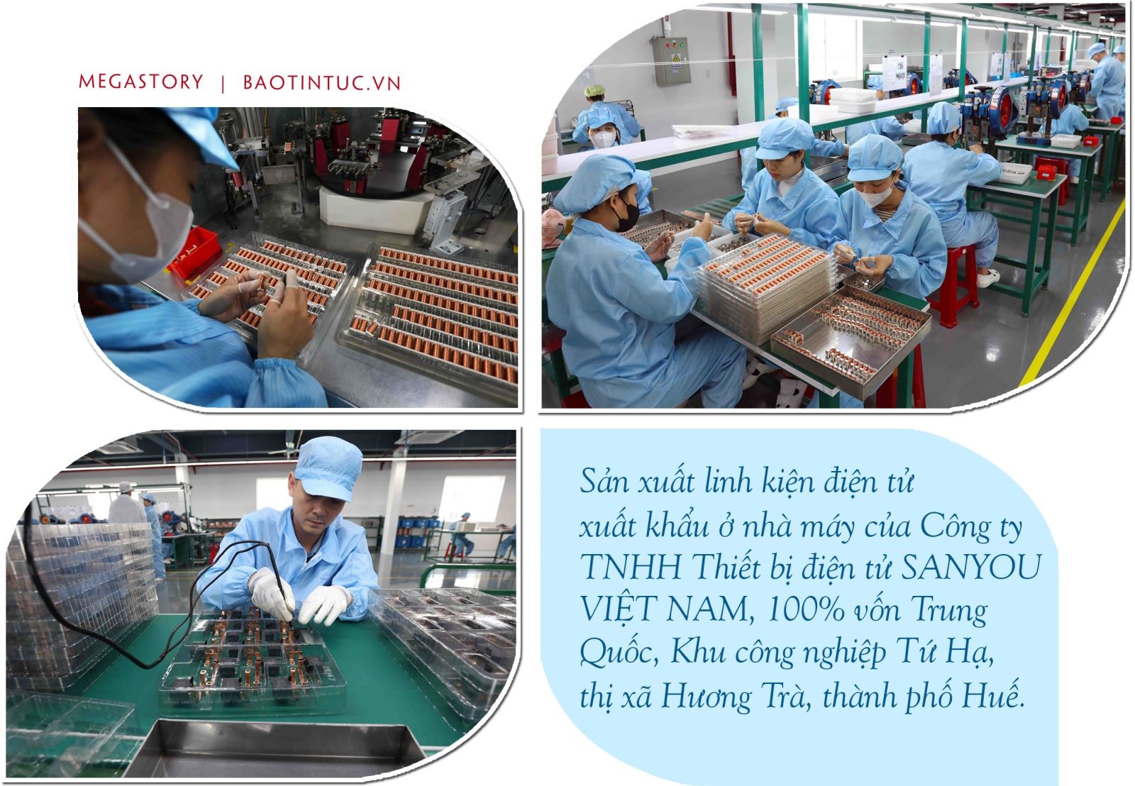 50 năm đất nước nở hoa