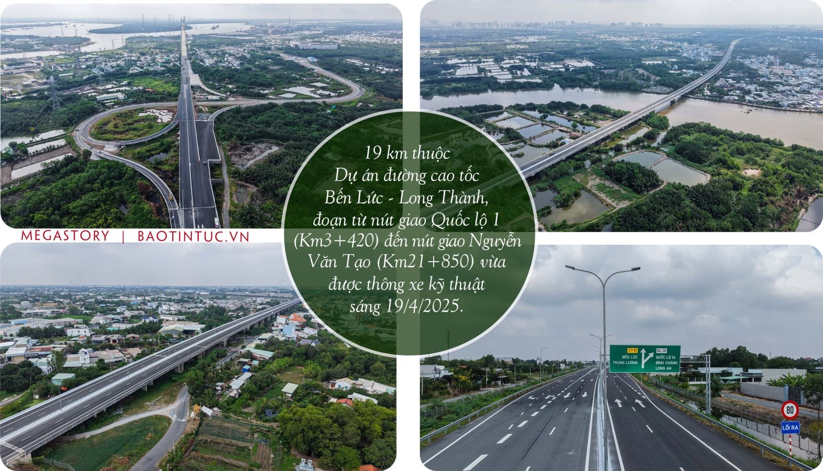 50 năm đất nước nở hoa