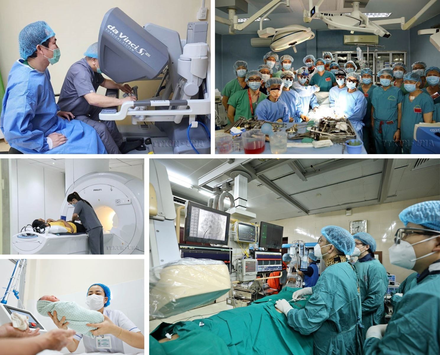 50 năm đất nước nở hoa