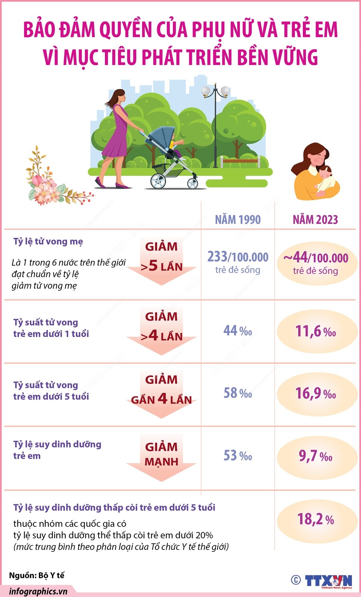 50 năm đất nước nở hoa