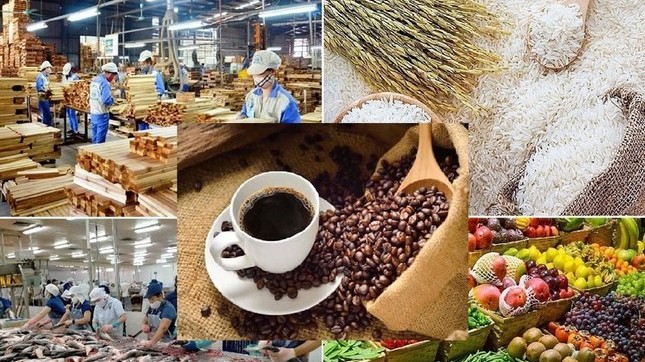 Lộ diện 'ngôi sao' sáng nhất của nông sản Việt Nam