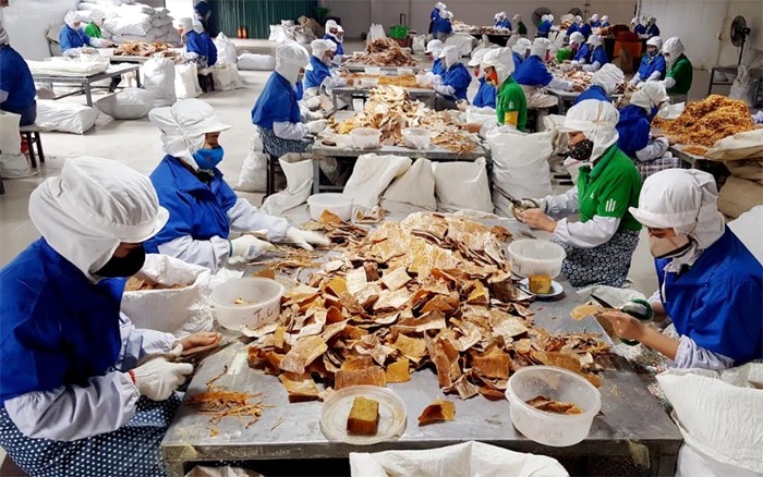 Sản phẩm măng của Công ty cổ phần Yên Thành được xuất khẩu ra thị trường Nhật Bản, Đài Loan. (Ảnh: VOV.VN)