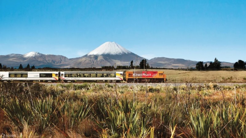 Du lịch New Zealand: Phương tiện di chuyển phổ biến