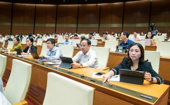 Kinh tế tư nhân được hưởng nhiều cơ chế, chính sách đặc biệt