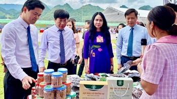 vung trung du mien nui phia bac quyet tam go kho thuc day thuong mai dien tu
