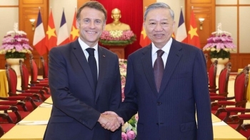 toan van tuyen bo chung viet nam phap
