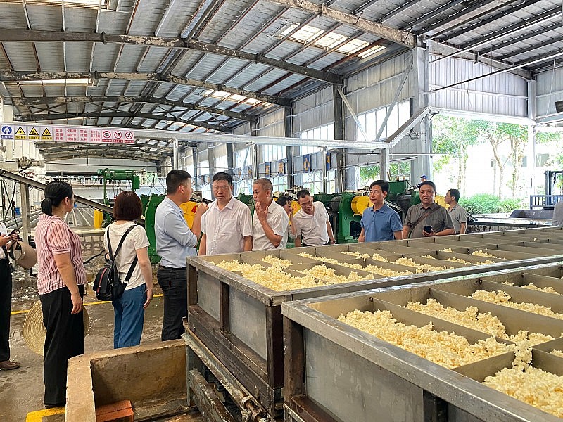 Giao lưu nhân dân: Nhịp cầu hữu nghị Mường Nhé - Giang Thành