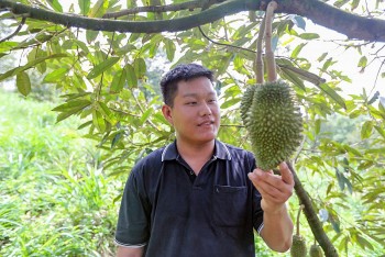giup nguoi tre lam dong lam giau tren manh dat que huong
