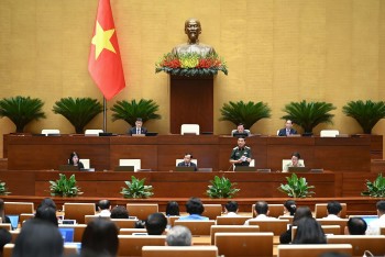Hoàn thiện thể chế, nâng cao vai trò Việt Nam trong lực lượng gìn giữ hòa bình Liên hợp quốc