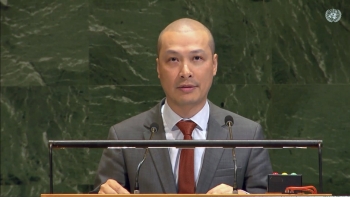 viet nam keu goi no luc chung vi hoa binh tai thiet va quan tri gaza sau xung dot