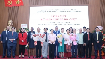hoi huu nghi va hop tac viet nam brazil dau an sang tao trong giai doan 2016 2025