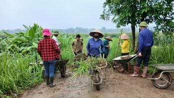 ung pho thien tai phai song hanh cuu tro khan cap va phuc hoi sinh ke ben vung