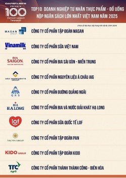 top 10 cong ty tu nhan thuc pham do uong nop ngan sach lon nhat viet nam