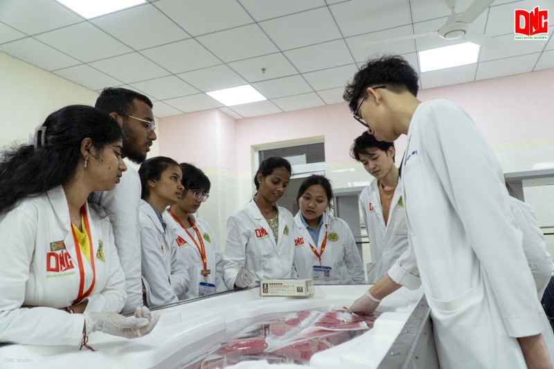 QAHE vinh danh Khoa Y Quốc tế - Trường Đại học Nam Cần Thơ