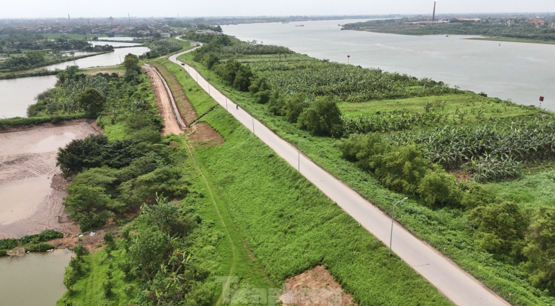 Xây dựng kế hoạch tổng thể nâng cấp đê điều và phòng, chống lũ rừng ngang sông Bùi