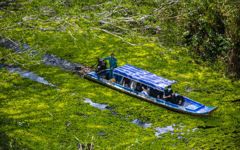Tổ chức “Đại hội không giấy”, Cà Mau tiên phong chuyển đổi số trong công tác Đảng