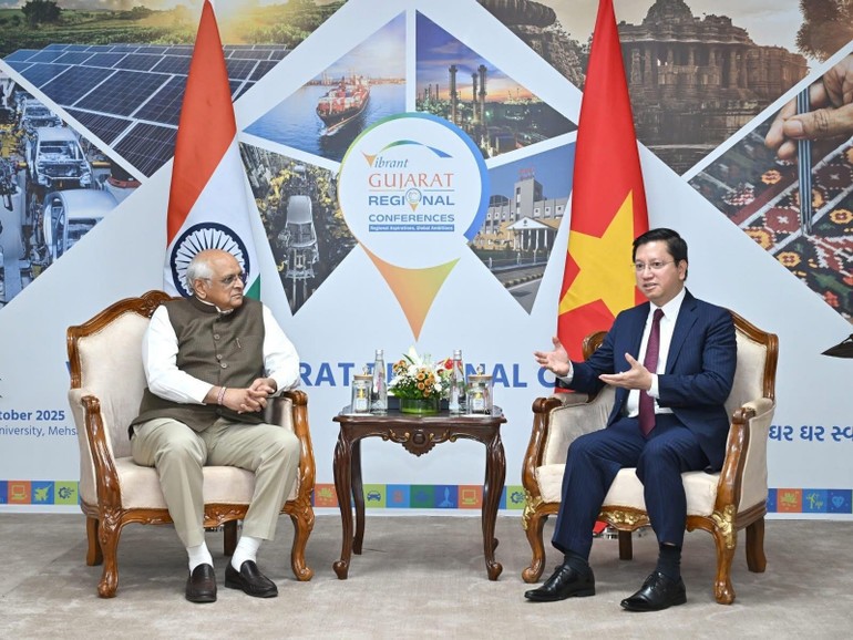 Đại sứ Nguyễn Thanh Hải (bên phải), trao đổi với Thủ bang Gujarat. (Ảnh: Thương vụ Việt Nam tại Ấn Độ)