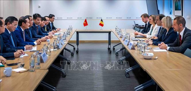 Việt Nam tăng cường hợp tác với EU và Bỉ về môi trường, phát triển bền vững Chú thích ảnh