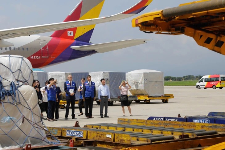 Hàng viện trợ được dỡ xuống từ máy bay tại sân bay Nội Bài - Ảnh: JICA Hàng viện trợ được dỡ xuống từ máy bay tại sân bay Nội Bài - Ảnh: JICA