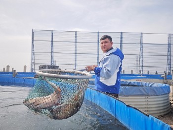 Vì sao cá nước lạnh lại nuôi được ở Hỏa Diệm Sơn?