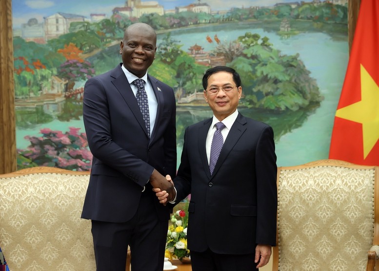 Phó Thủ tướng Bùi Thanh Sơn tiếp Bộ trưởng Ngoại giao và Hợp tác quốc tế Nam Phi Ronald Lamola - Ảnh: VGP/Hải Minh