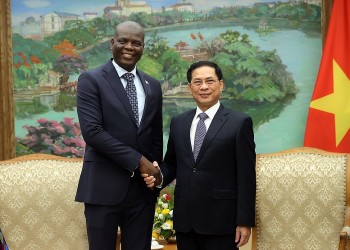 nam phi danh gia cao vai tro vi the cua viet nam trong khu vuc va quoc te