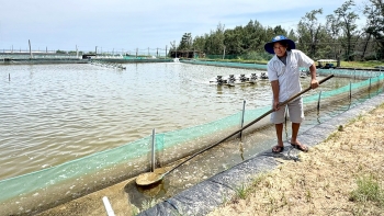 Hướng đi mới cho sinh kế ngư dân Việt Nam