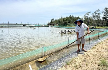 Hướng đi mới cho sinh kế ngư dân Việt Nam