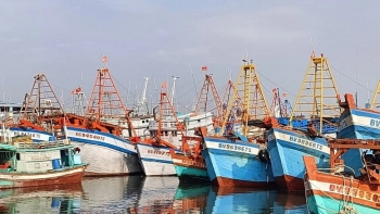 thanh pho ho chi minh khong con tau ca vi pham iuu