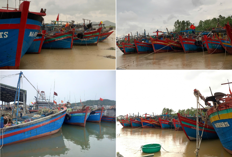 nghe an cap toc trien khai hanh dong thang cao diem chong khai thac iuu