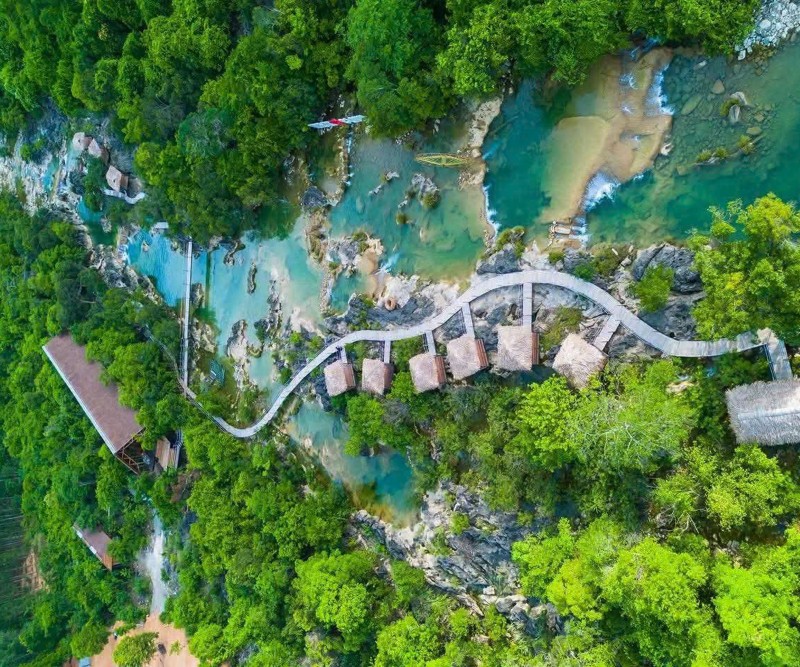 World Land Trust hỗ trợ phục hồi động vật hoang dã tại Quảng Trị World Land Trust hỗ trợ phục hồi động vật hoang dã tại Quảng Trị