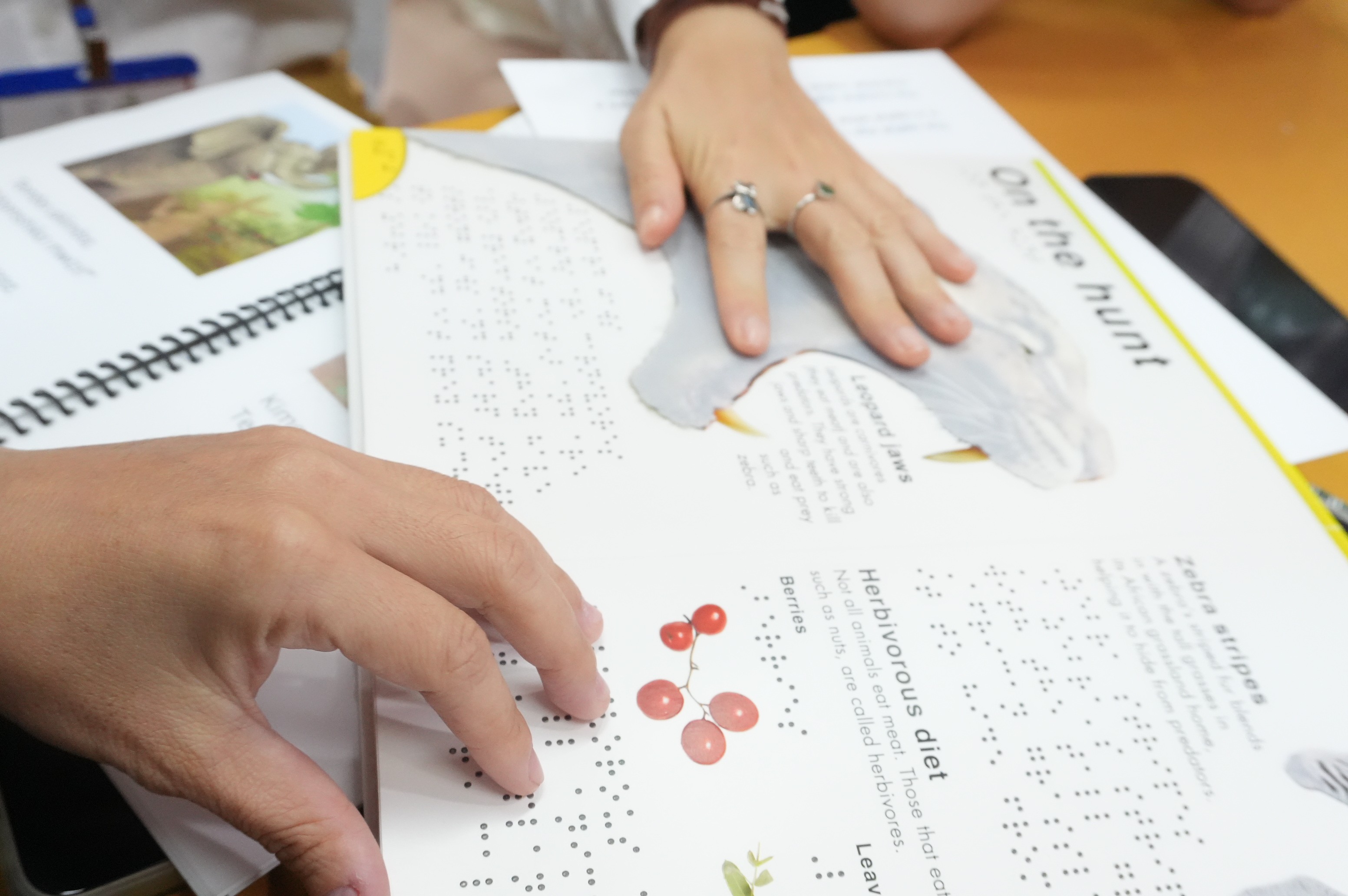 Cuốn sách được in với một mặt là chữ nổi. (Ảnh: RtR)