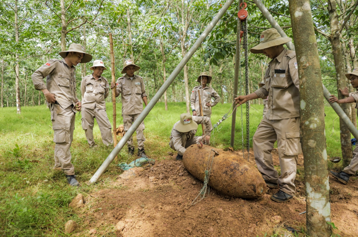 PeaceTrees Vietnam:  Góp phần hàn gắn vết thương chiến tranh, vun đắp tương lai phát triển