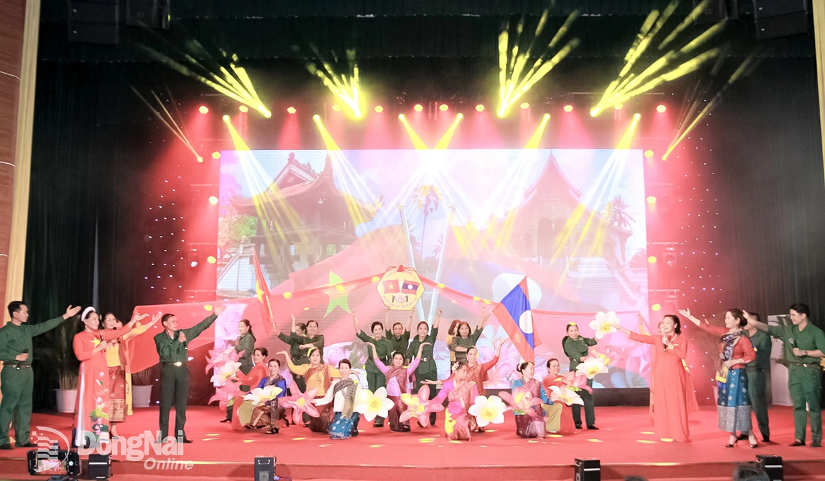 Liên hiệp các tổ chức hữu nghị tỉnh Đồng Nai: Lan tỏa hữu nghị từ những cuộc thi sáng tạo