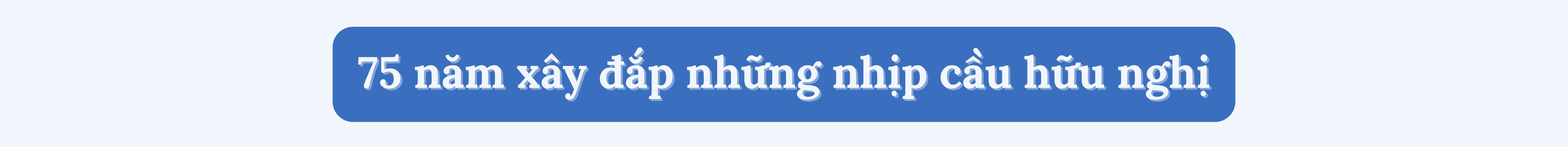 Liên hiệp các tổ chức hữu nghị Việt Nam kỷ niệm 75 năm Ngày truyền thống và Đại hội Thi đua yêu nước giai đoạn 2025 - 2030