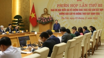 Đẩy nhanh hoàn thiện hệ thống dữ liệu quốc gia về nghề cá trước ngày 31/12/2025