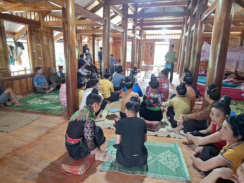 Điện Biên chủ động phòng chống cháy rừng, bảo vệ hơn 592 nghìn ha đất lâm nghiệp