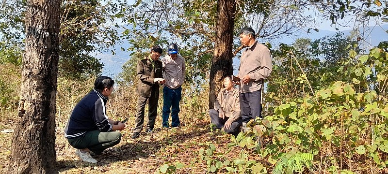 Điện Biên chủ động phòng chống cháy rừng, bảo vệ hơn 592 nghìn ha đất lâm nghiệp